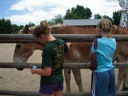 Petting the Mule