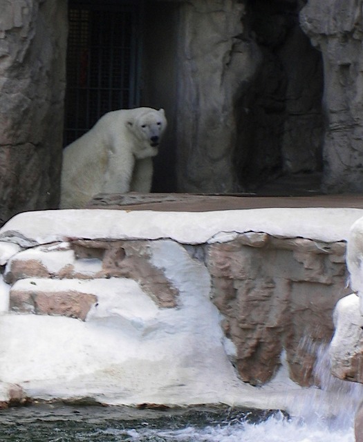 IMGP0674-Zoo