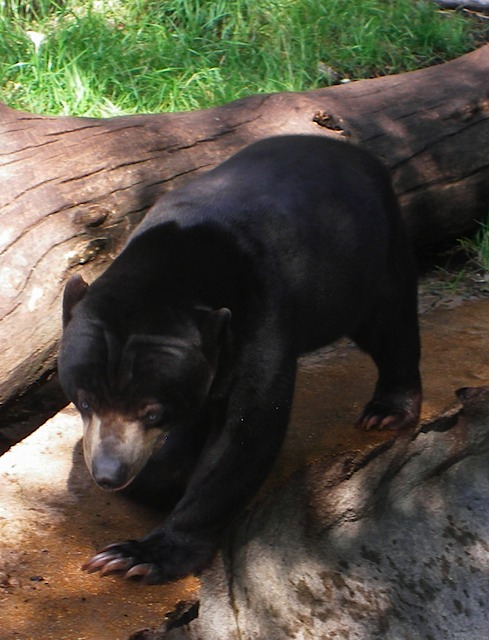 IMGP0730-Zoo