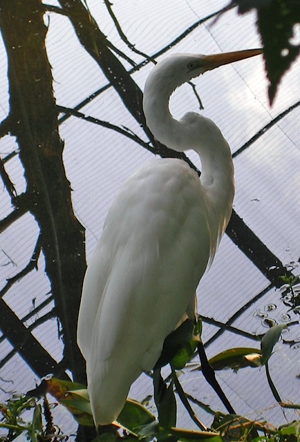 IMGP0896-Zoo