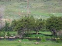 River Near Holiday Hills RV Park