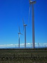 Wind Farm, WY