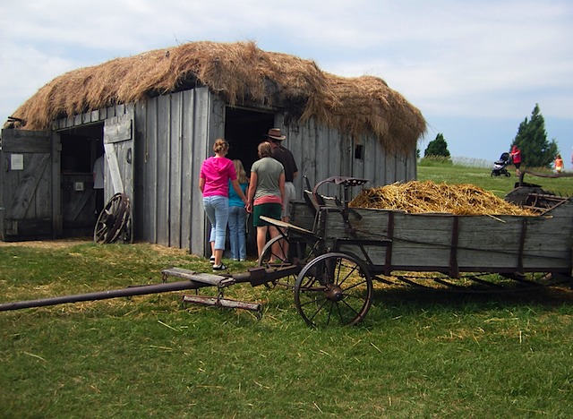 IMGP7915-hay roof barn