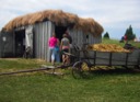 Hay Roof Barn