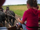 Josie Driving the Team of Horses