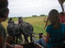 Mackensie Driving the Covered Wagon