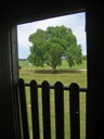 View From The Barn