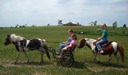 Mackensie with the Pony Cart