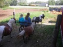 Mackensie Riding Over to the Homestead