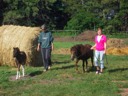 Josie Walking Dolly