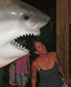 Shark Eating Mom