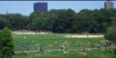 The Great Lawn in Central Park