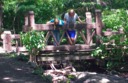 Pooh Sticks In Central Park