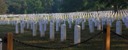 Arlington Cemetary