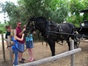 Wagon Ride