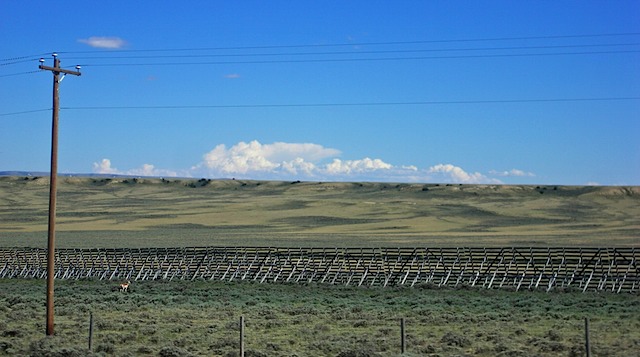 Wyoming - Snow Fence & Antelope